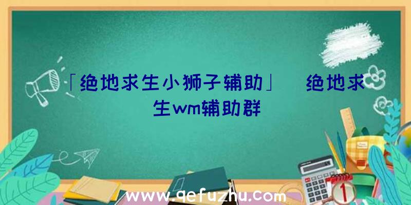 「绝地求生小狮子辅助」|绝地求生wm辅助群